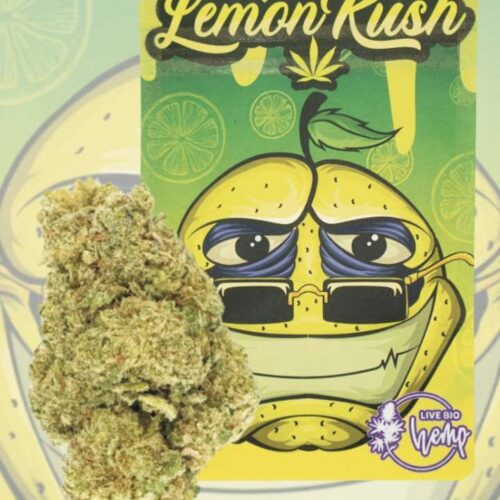 Flor Lemon Indoor Premium
