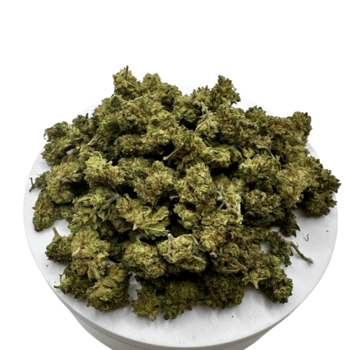 Mini Buds Super Lemon Haze Nuevo Cultivo