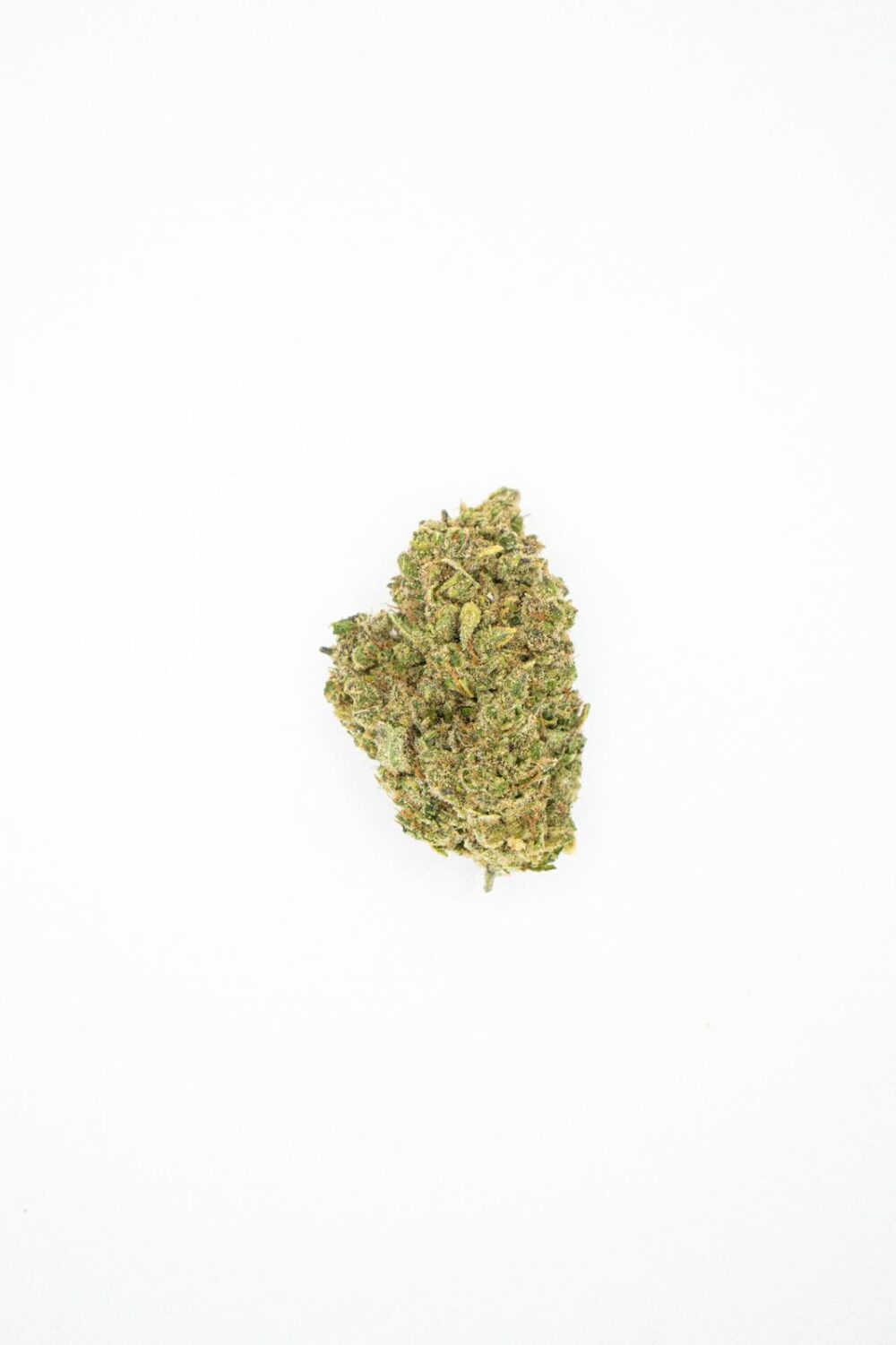 Gelato Hydro Premium - Imagen 2